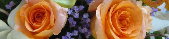 百々子's header image