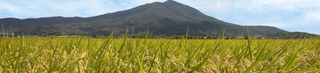筑西市【茨城県】's header image