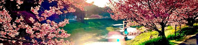 さなさな☆'s header image