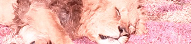 たたた→'s header image