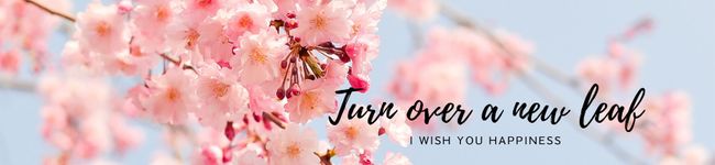 Mee_Recipe's header image