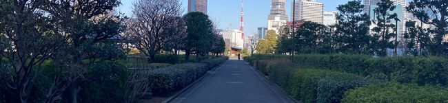Rieぴょん's header image