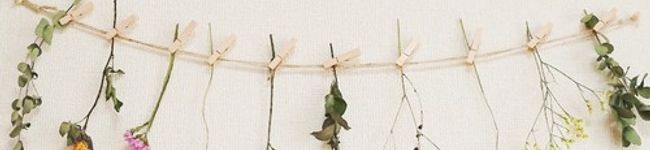 りょーchan☆'s header image