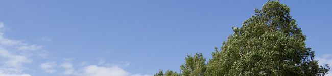 おかあしゃんキッチン's header image