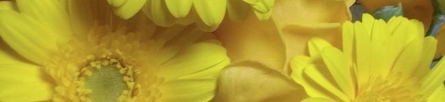 マリ0129's header image