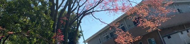 料理好きのJC's header image