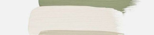 popoくん's header image