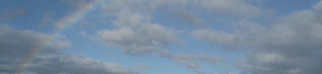 Cinnam0n's header image