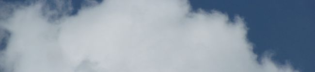 halcoママ's header image