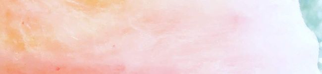 夢心地クック's header image