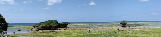 妻でおかん（՞ټ՞☝'s header image