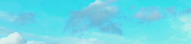 雑草です。's header image
