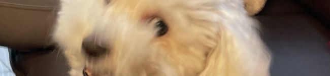 ナナさやキッチン's header image