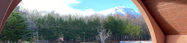 ひじきの皿's header image