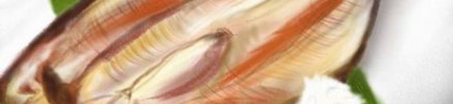 あどっくま's header image