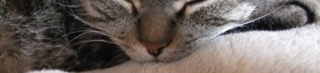 hinauri's header image