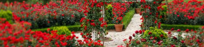 △△△△'s header image