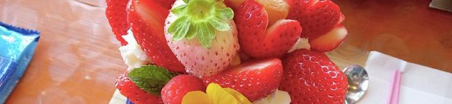 ののひと's header image
