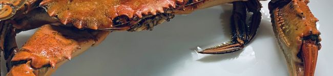 飯炊きアイルー's header image