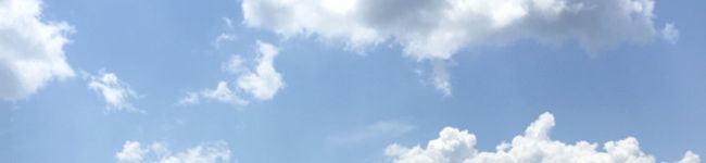 ぷっぷこママ's header image