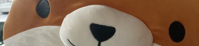 qihl's header image