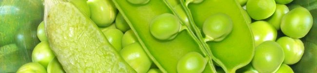 quack_r's header image