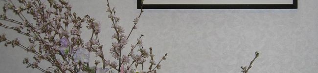 Muriettist's header image