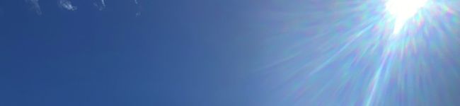 ファミリーディッシュ's header image