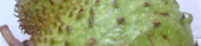 JalanPudu's header image