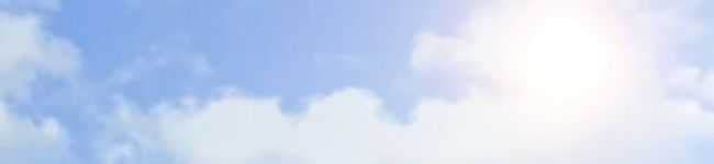 ごまたま日和's header image