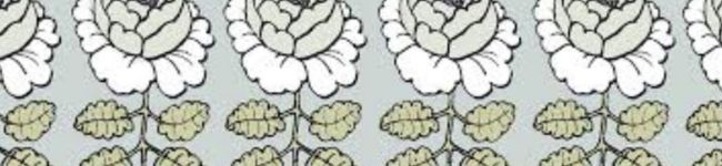 koimiki's header image