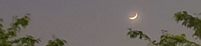 なでゃんjk's header image