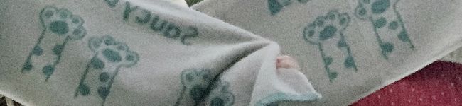 味見担当大臣's header image
