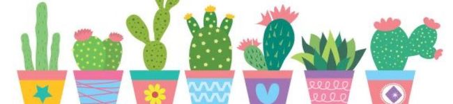 MP＊'s header image