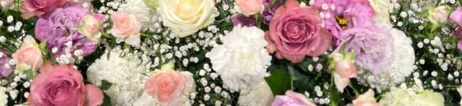mizufooo's header image