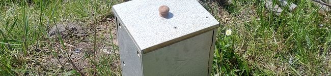 inattixi's header image