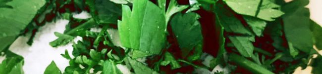 The2meshi's header image