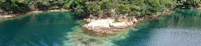 G_Yossan's header image