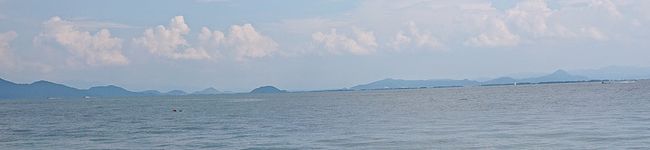 daimon0919's header image