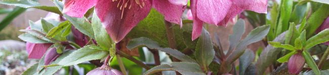 baimo0611's header image
