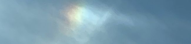 きのこのこのこ's header image