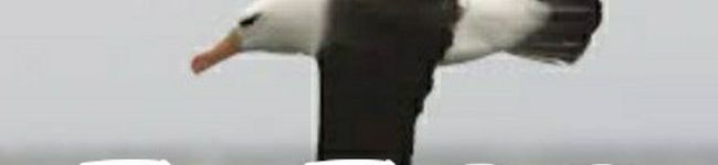 キッチンjy's header image