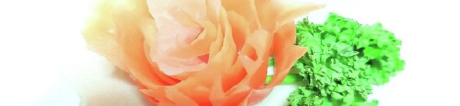 justice🍎IWATE🍎's header image