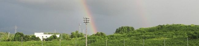 sekinak's header image