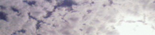 dharanii's header image