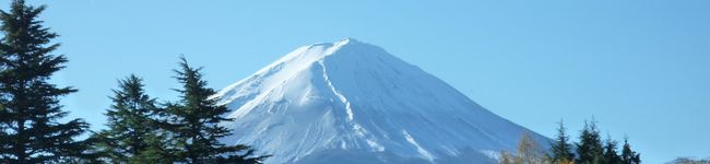 つなたんろこち's header image