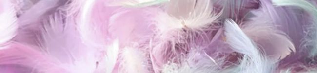 みわまーま's header image
