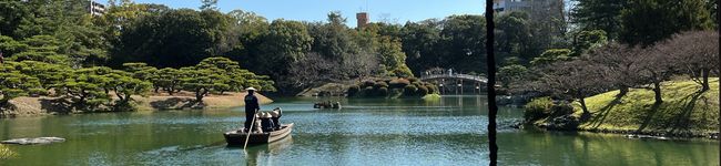 クックVVJ78W☆'s header image