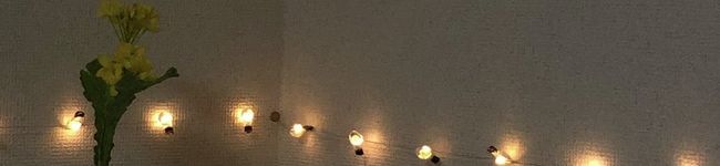 mei＆Culumi's header image
