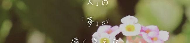 ただ、料理好き's header image